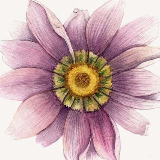 Detalle de la acuarela Flor