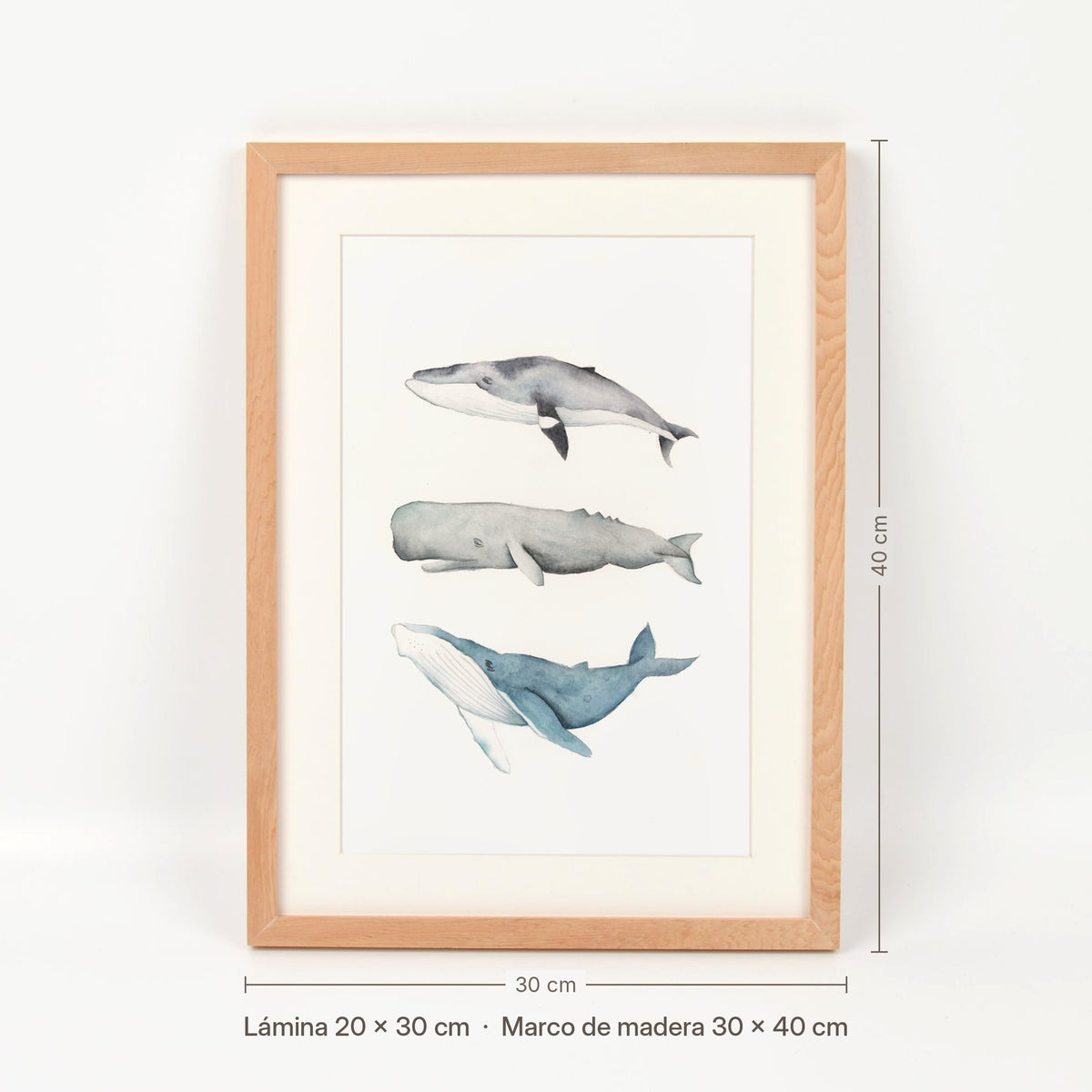 Medidas del cuadro Tres ballenas