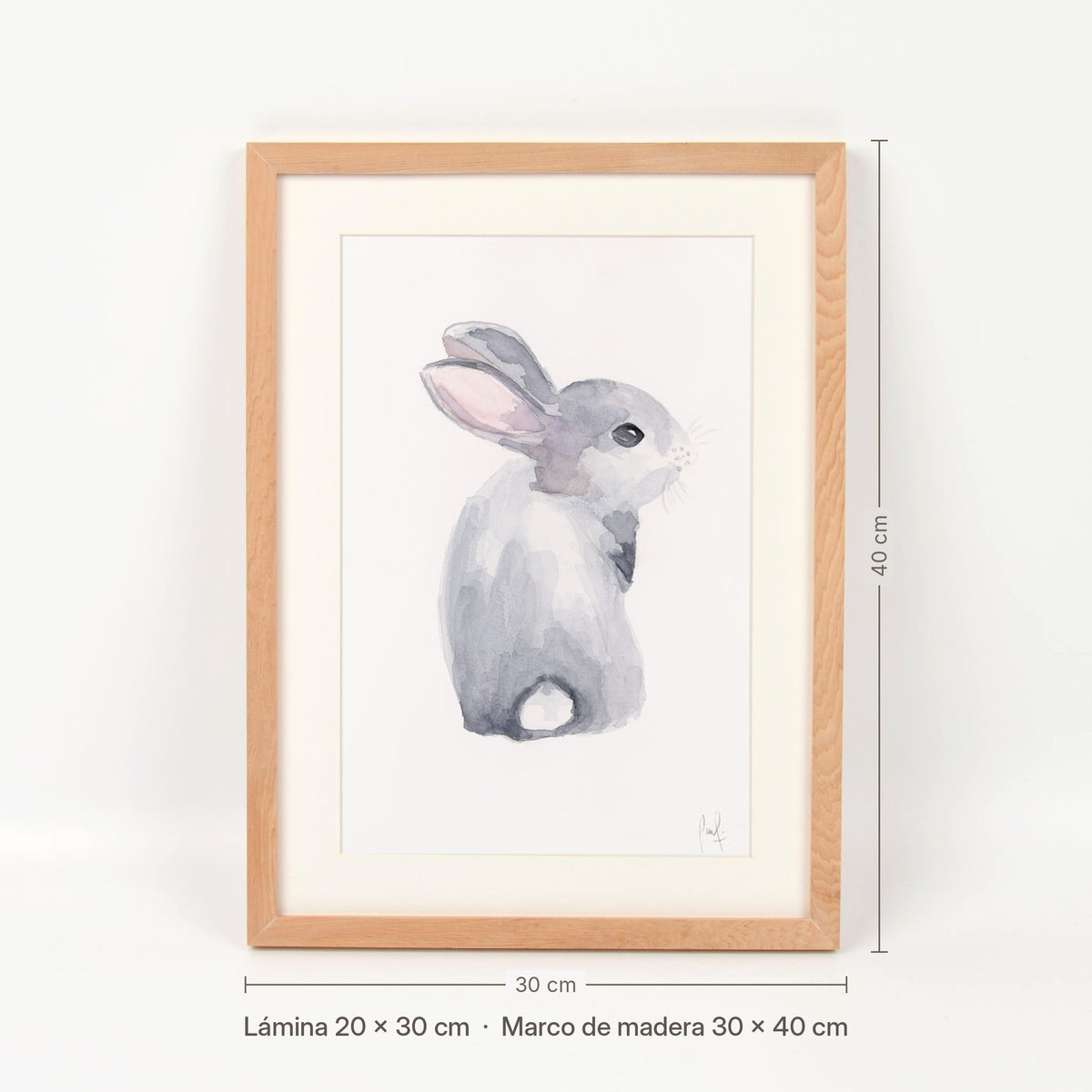Medidas del cuadro Conejo gris