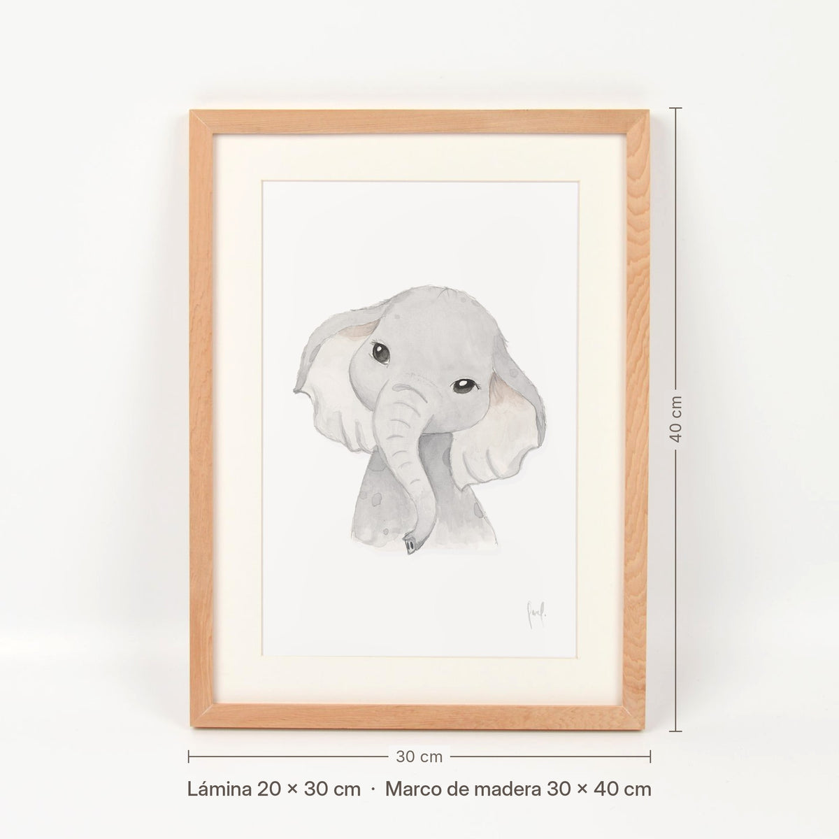 Medidas del cuadro Elefante