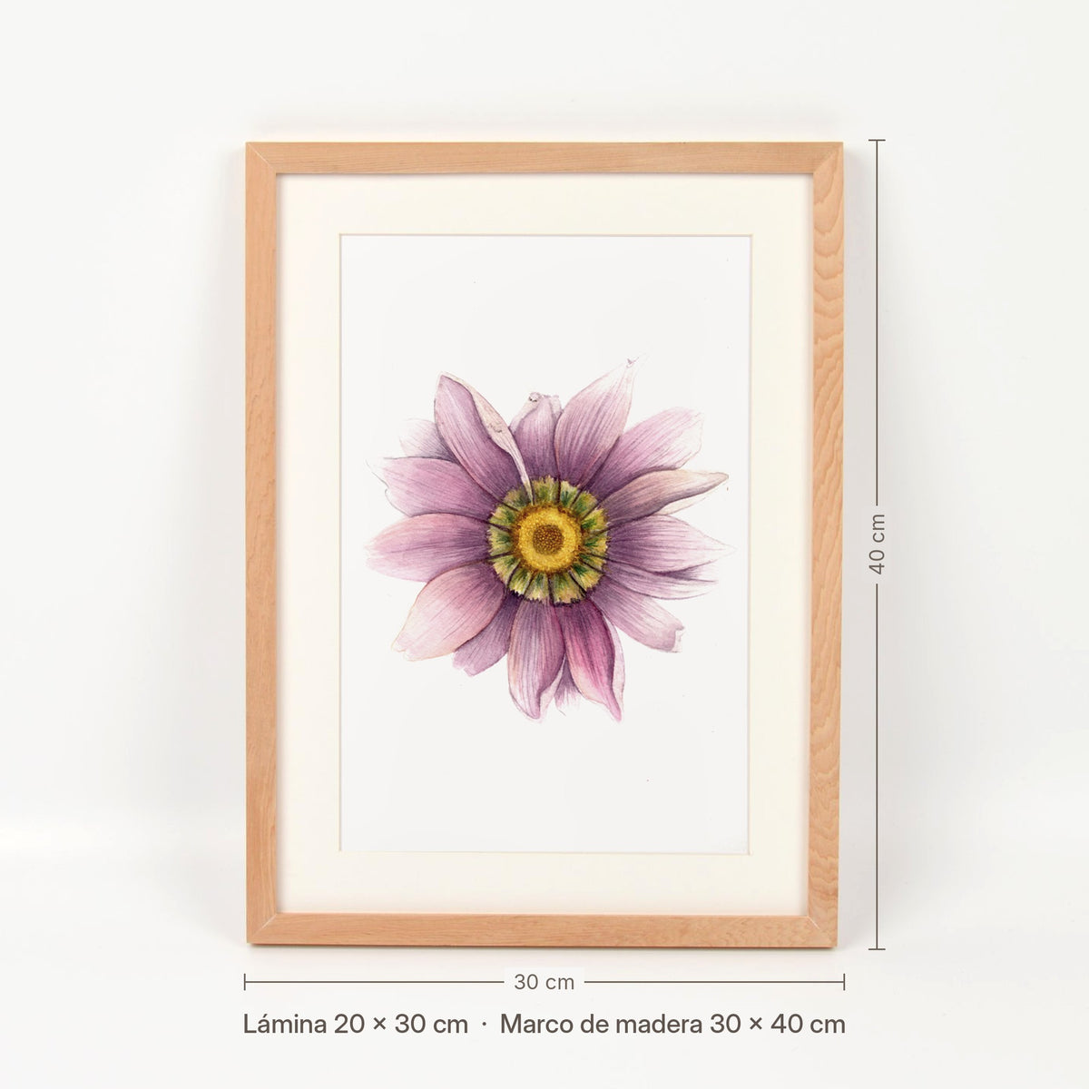 Medidas del cuadro Flor