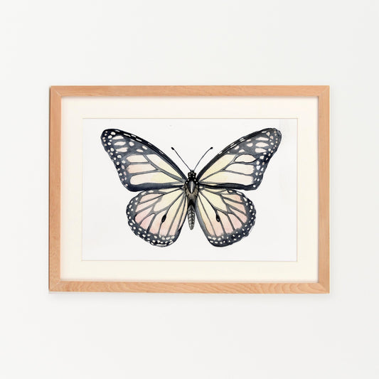 Mariposa enmarcado en madera nativa