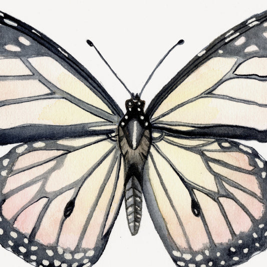 Detalle de la acuarela Mariposa