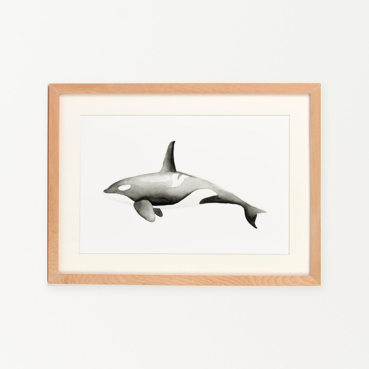 Cuadro Orca