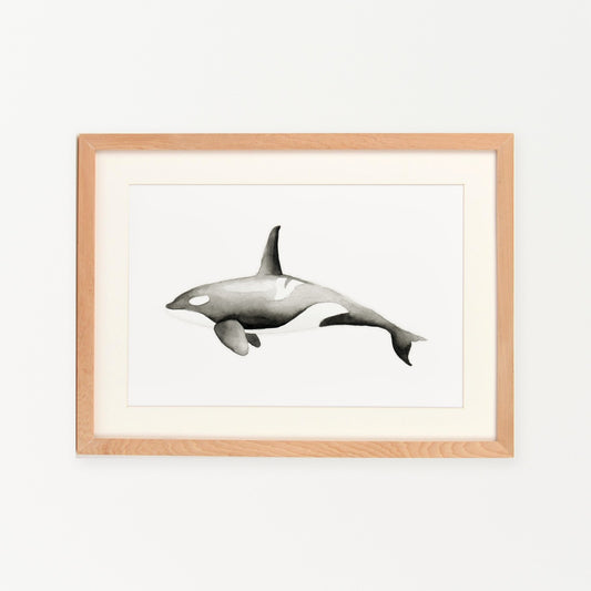 Cuadro Orca
