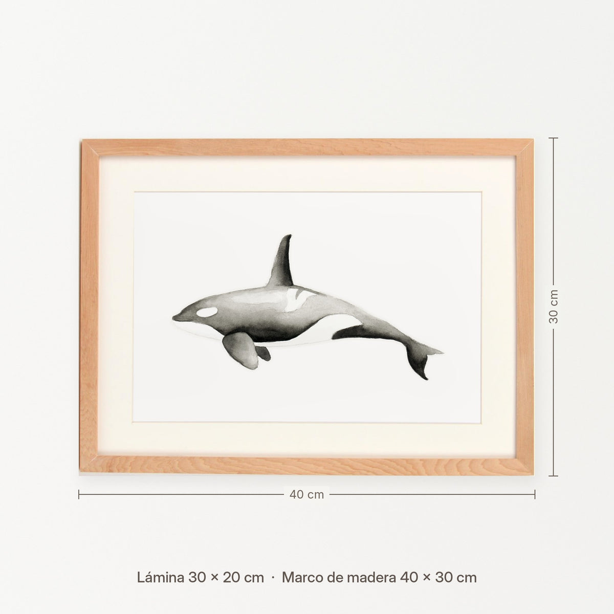 Cuadro Orca