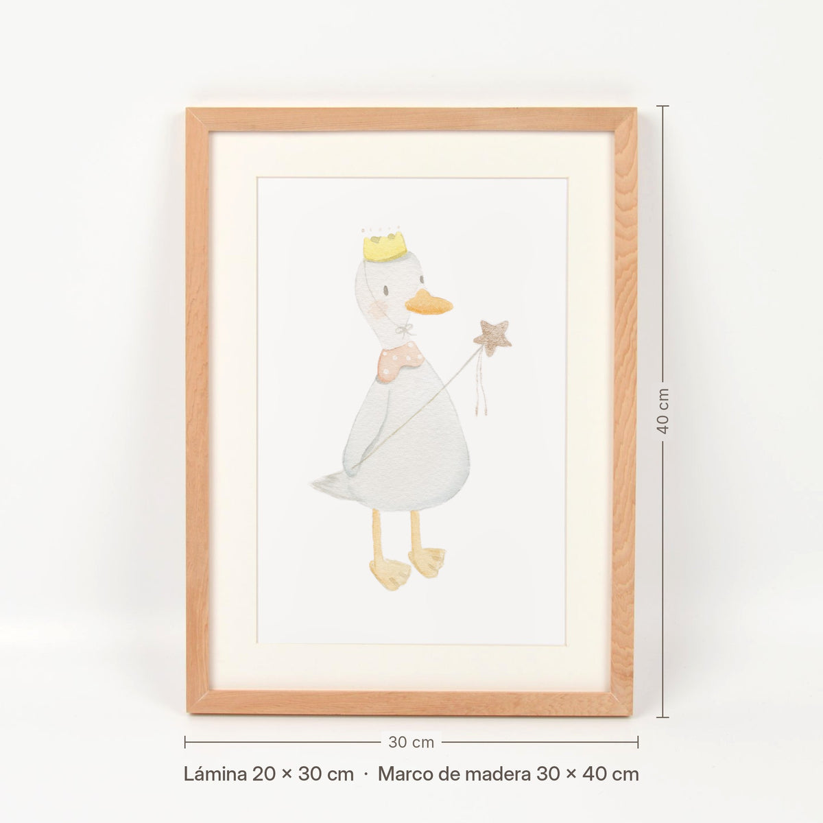 Medidas del cuadro Pato con corona