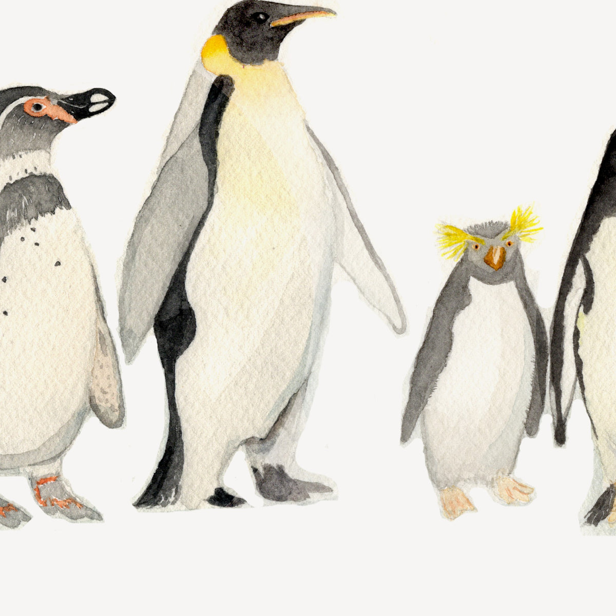 Detalle de la acuarela Pingüinos