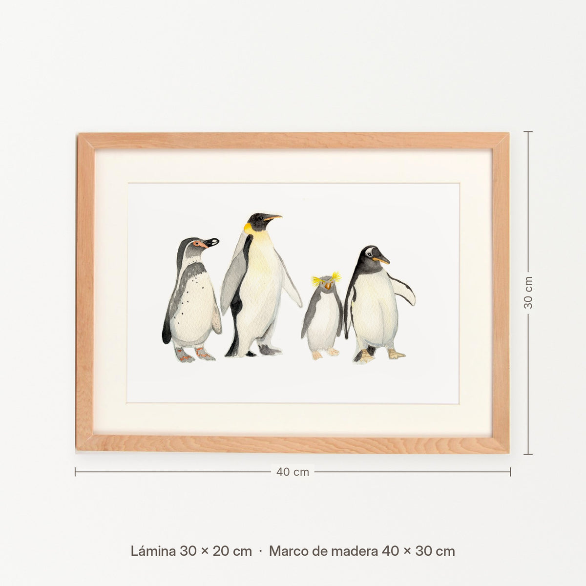 Medidas del cuadro Pingüinos