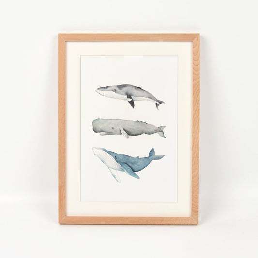 Tres ballenas enmarcado en madera nativa